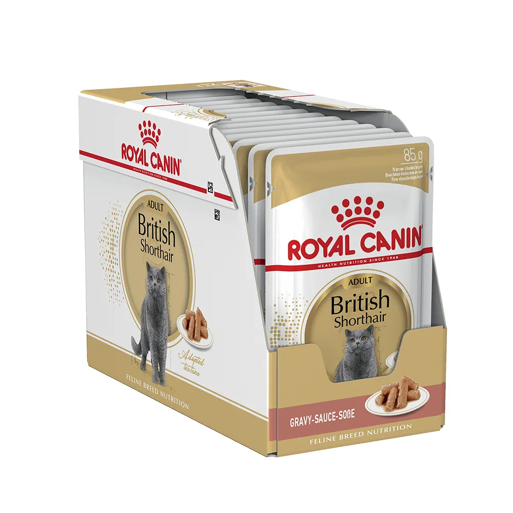پوچ گربه رویال کنین بریتیش ادالت - Royal Canin British Adult