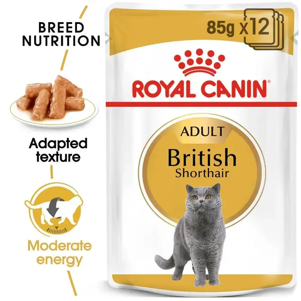 پوچ گربه رویال کنین بریتیش ادالت - Royal Canin British Adult