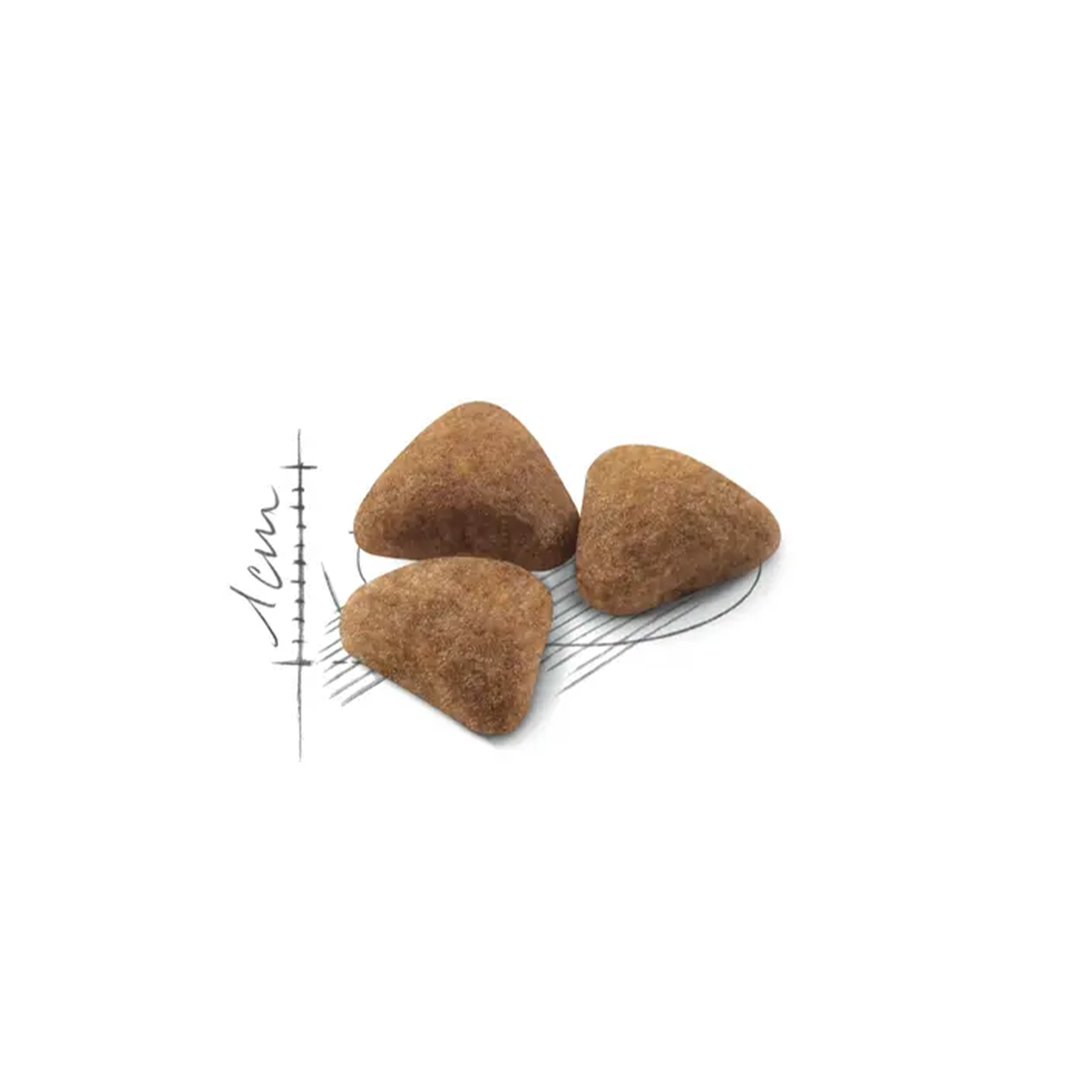 غذای خشک گربه رویال کنین ایندور - Royal Canin Indoor