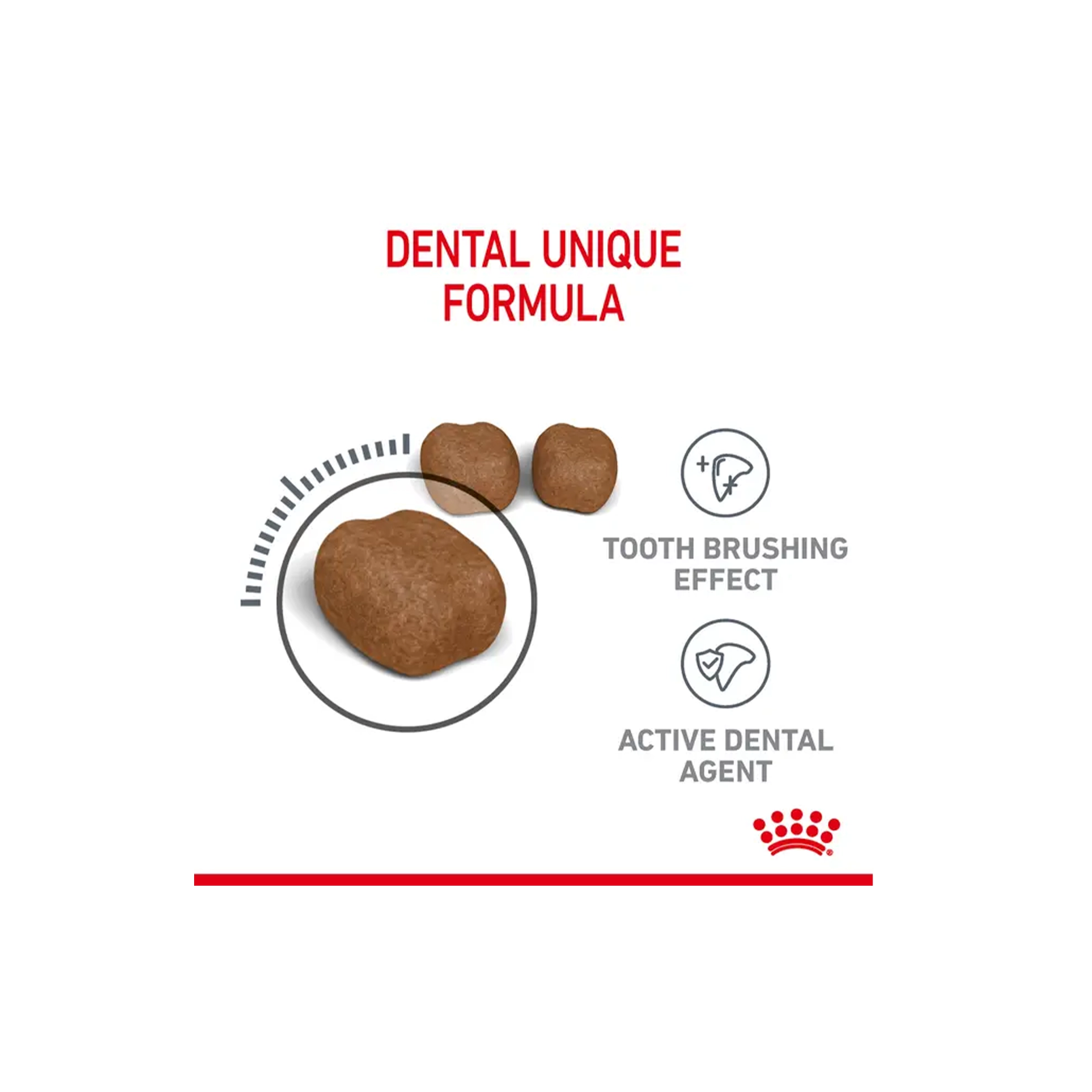 غذای خشک گربه رویال کنین دنتال کر - Royal Canin Dental Care