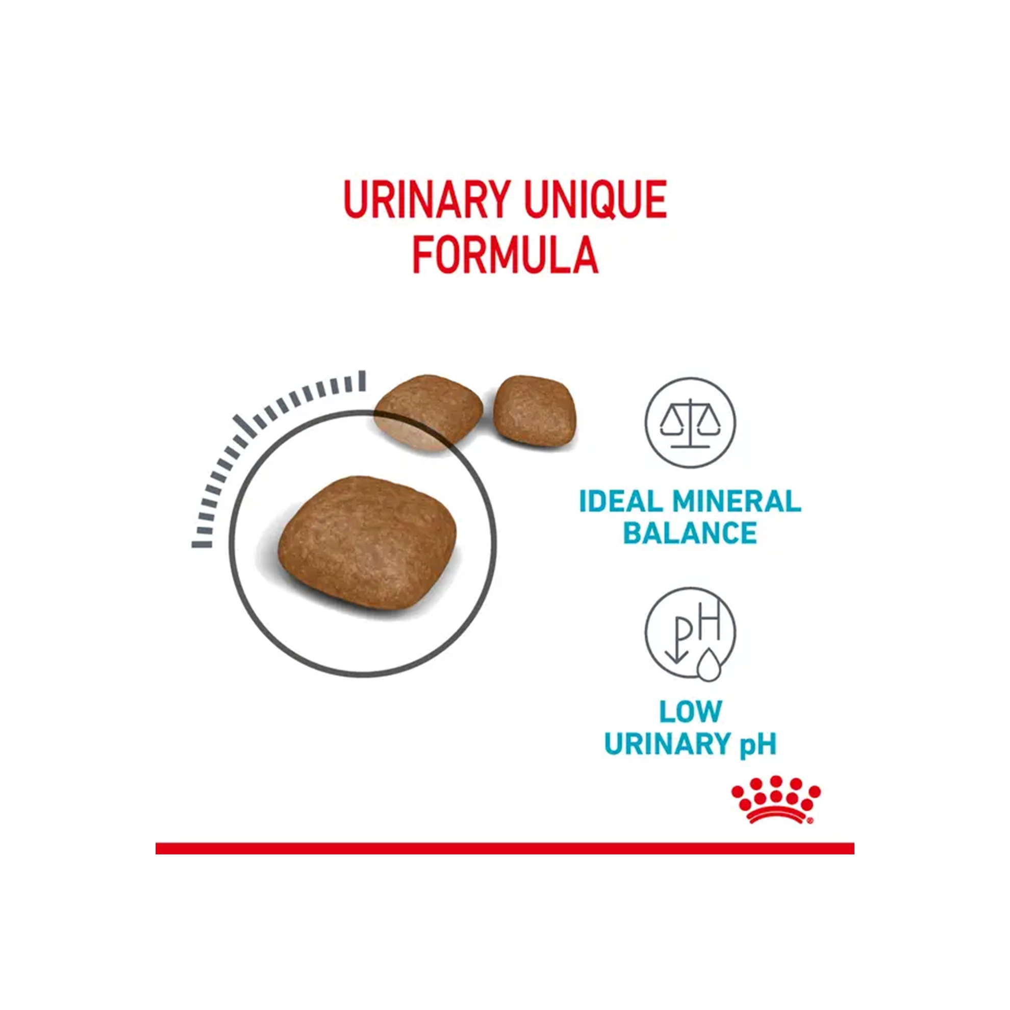 غذای خشک گربه رویال کنین یورینری کر - Royal Canin Urinary Care