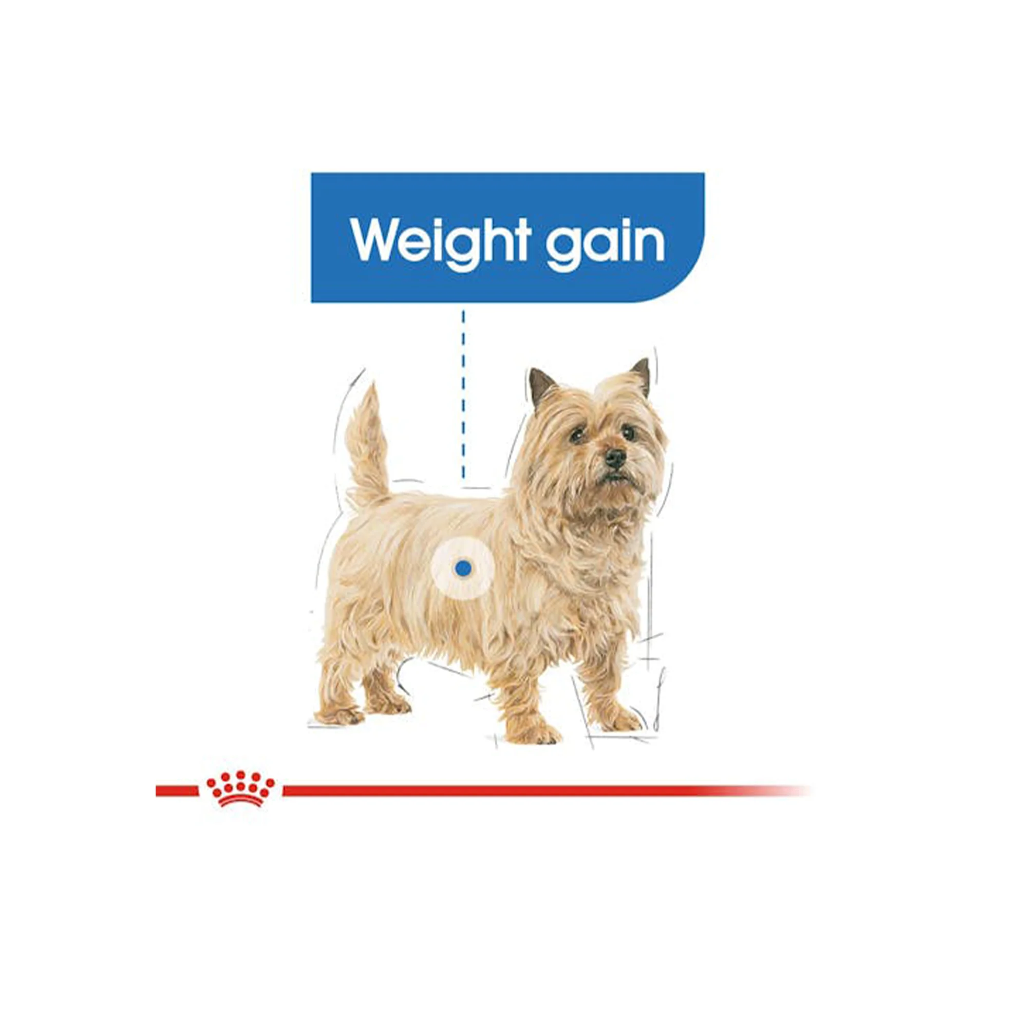 غذای خشک سگ رویال کنین مینی لایت ویت - Royal Canin Mini Light Weight