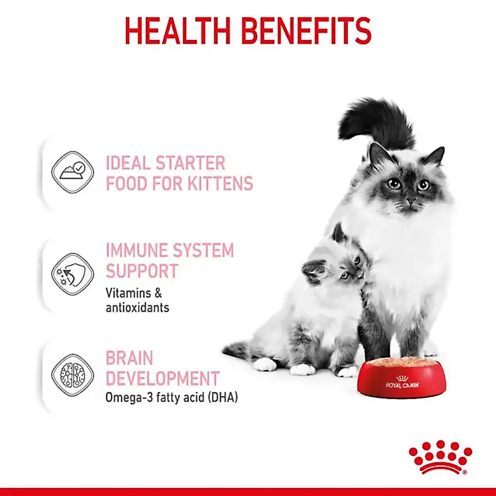 کنسرو گربه رویال کنین مادر اند بیبی - Royal Canin Mother & Babycat