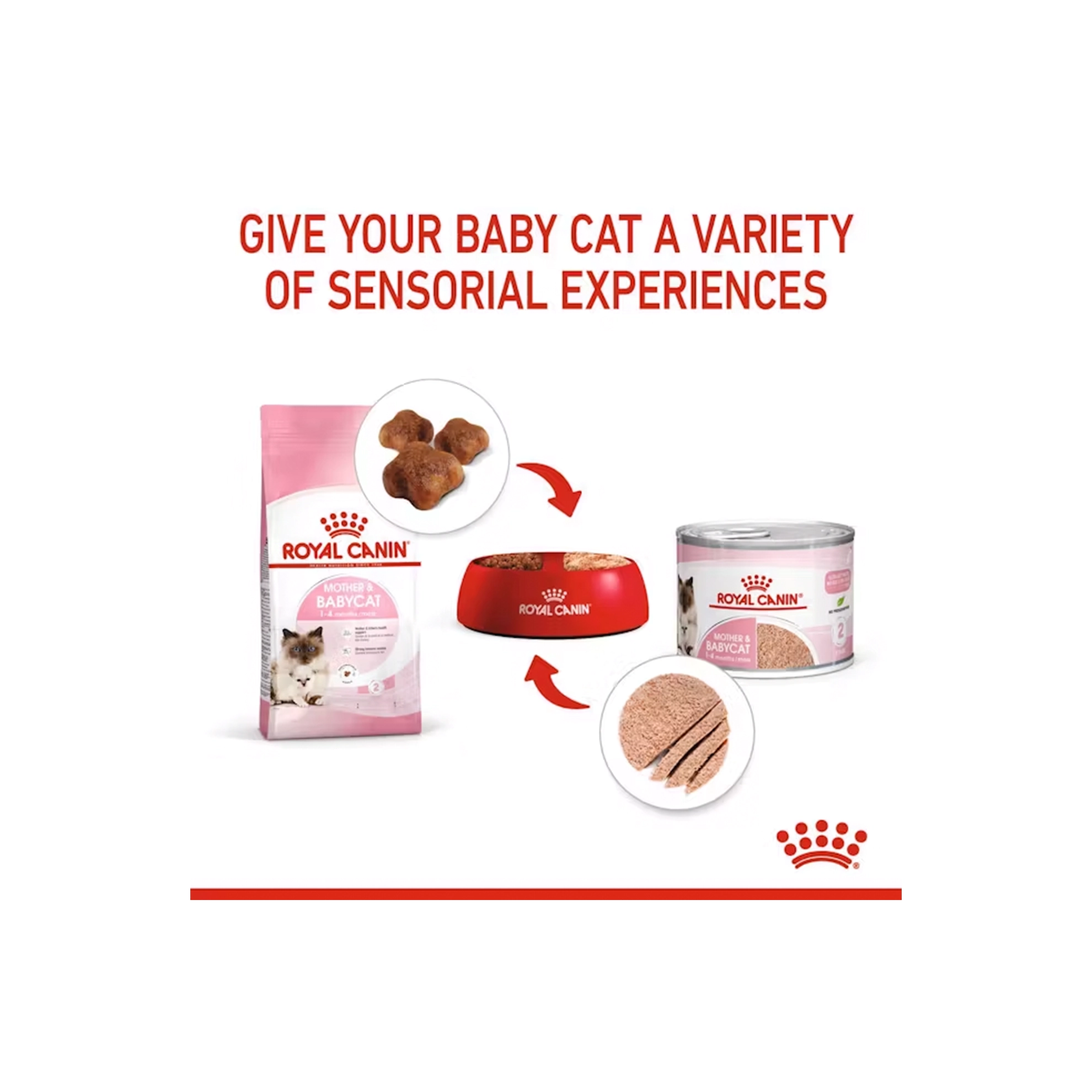 کنسرو گربه رویال کنین مادر اند بیبی - Royal Canin Mother & Babycat