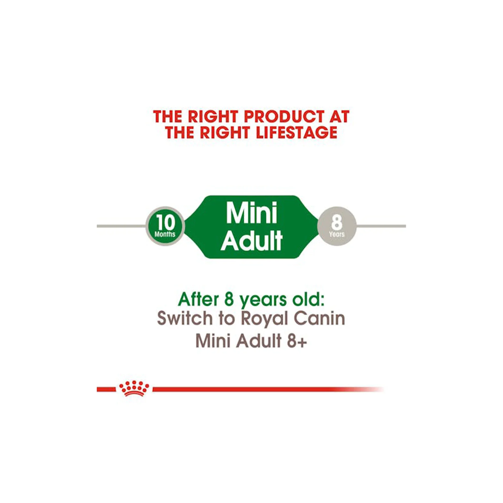 غذای خشک سگ رویال کنین مینی ادالت - Royal Canin Mini Adult