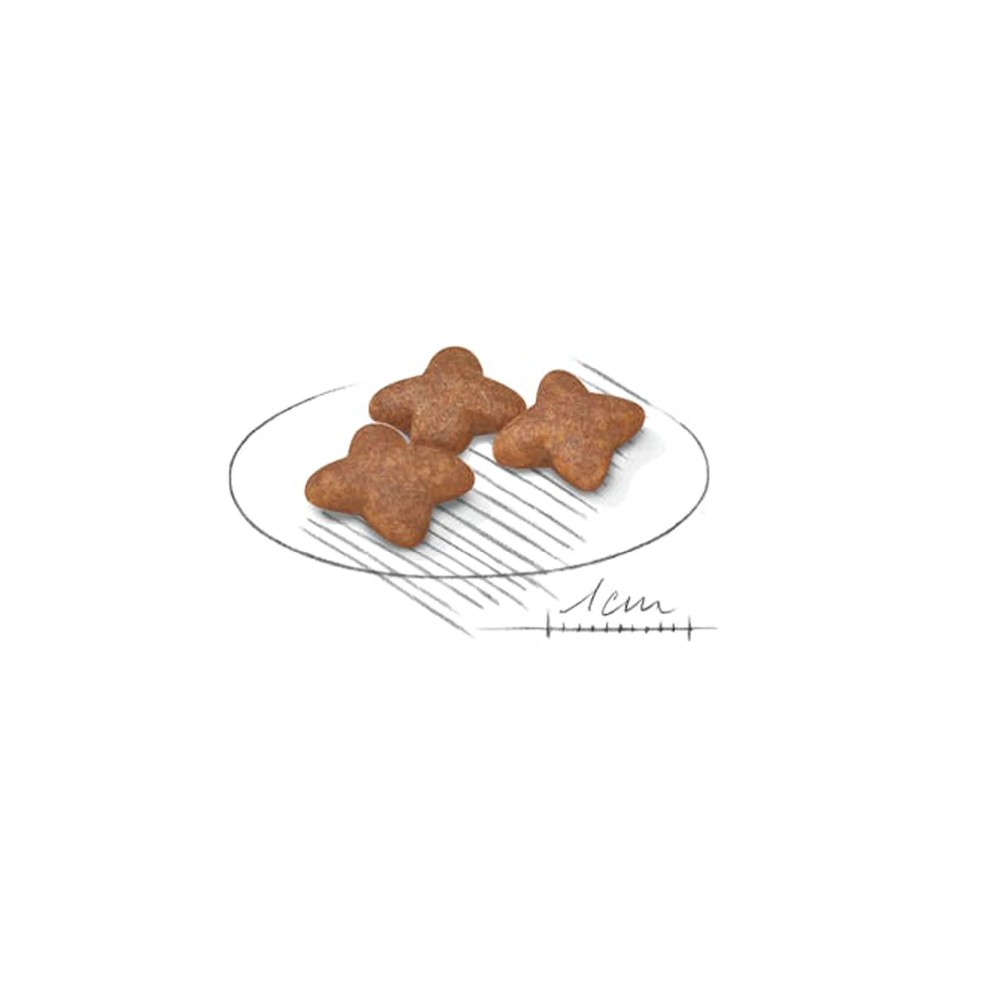 غذای خشک سگ رویال کنین مینی ادالت - Royal Canin Mini Adult
